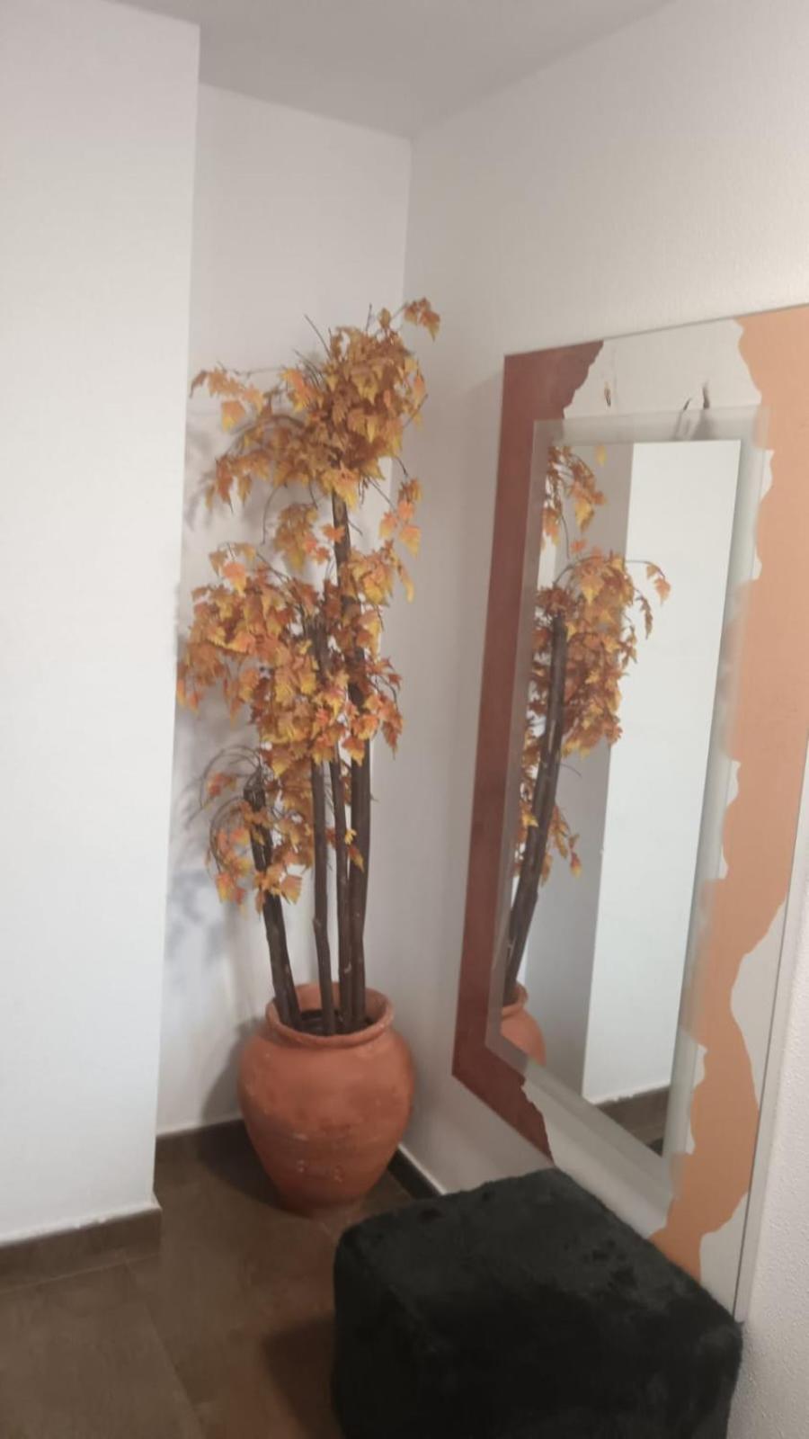 Apartamento Gloria Patricia Alcantarilla  Dış mekan fotoğraf